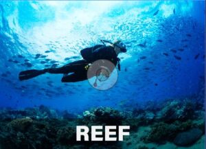 Sequestered EcoTourism Reef